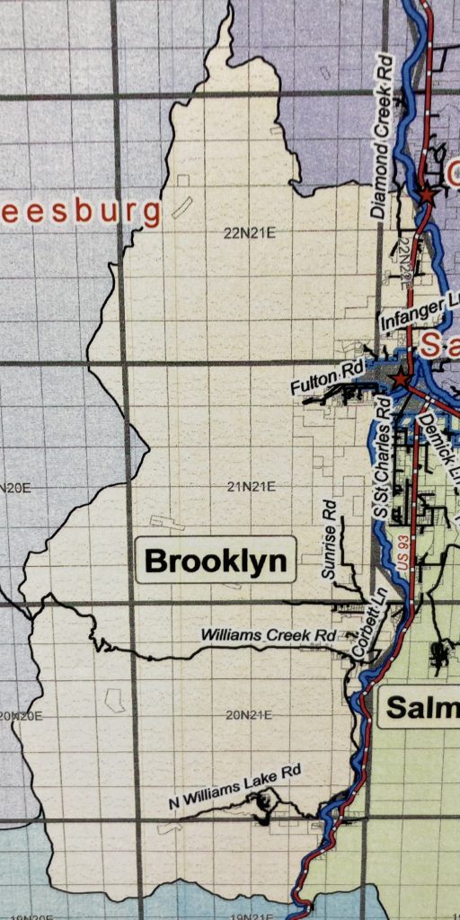 Brooklyn Precinct District