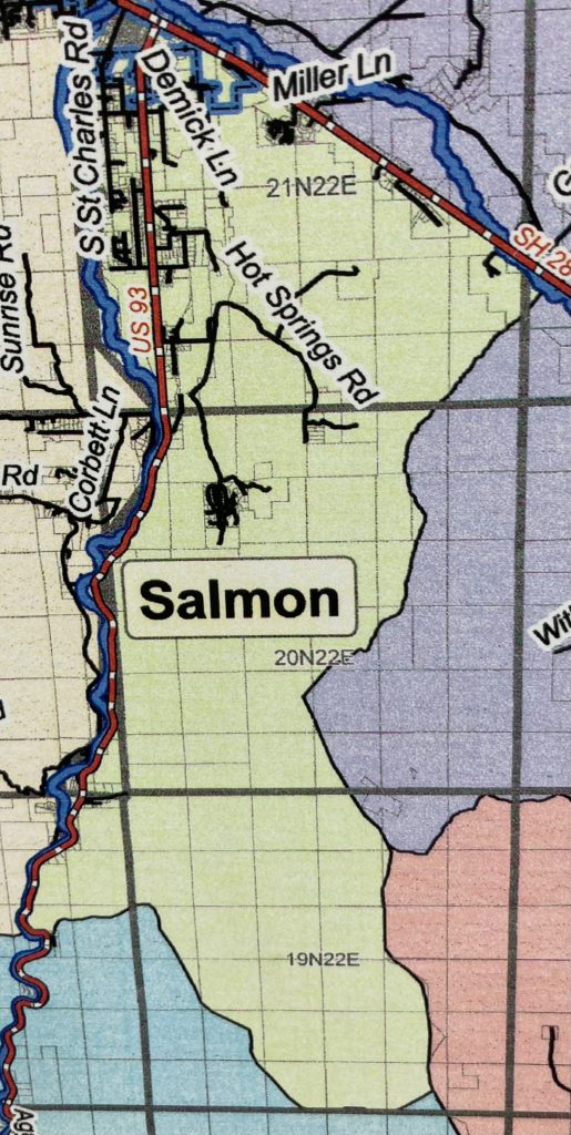 Salmon Precinct District